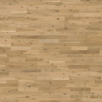 Beyond Retro Collection: Urban Brown Strip