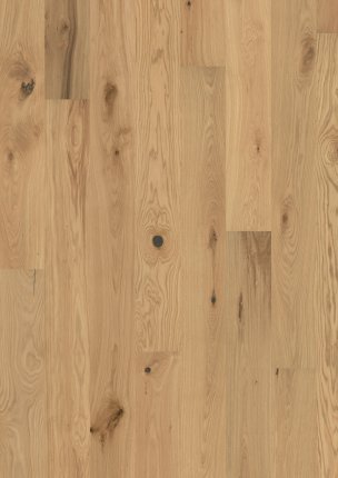 Flora Collection: Yarrow