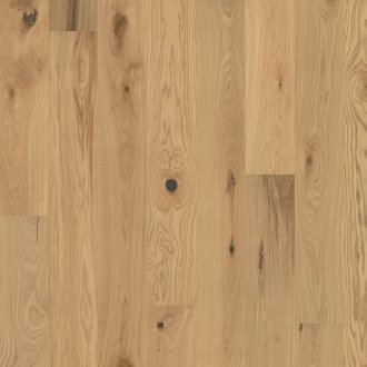 Flora Collection: Yarrow